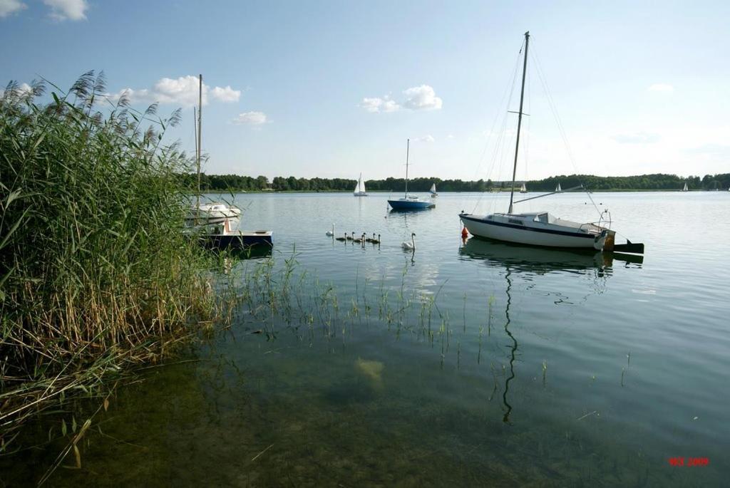 Noclegi Pod Modrzewiem Powidz  Exterior photo